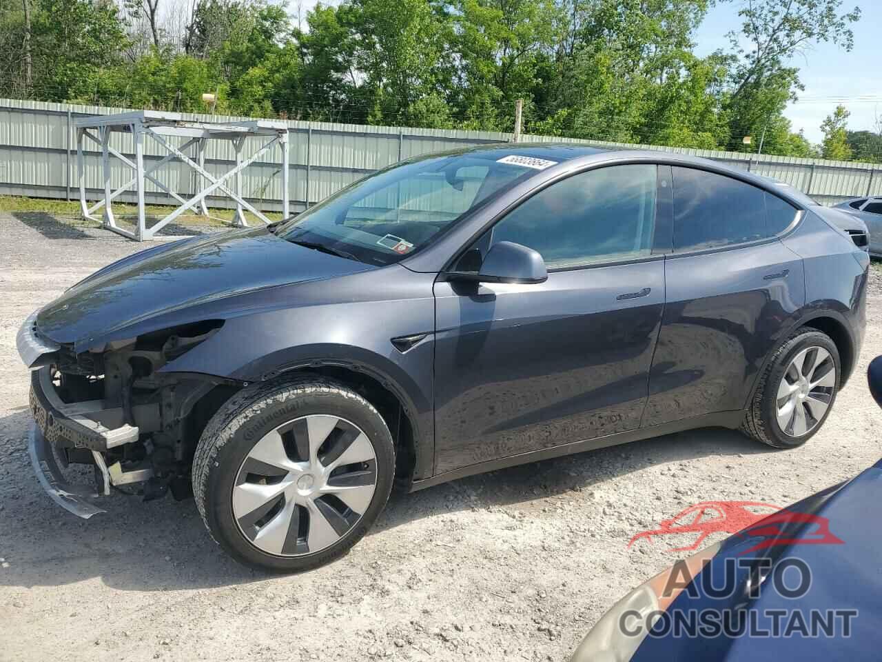 TESLA MODEL Y 2021 - 5YJYGDEE2MF188604