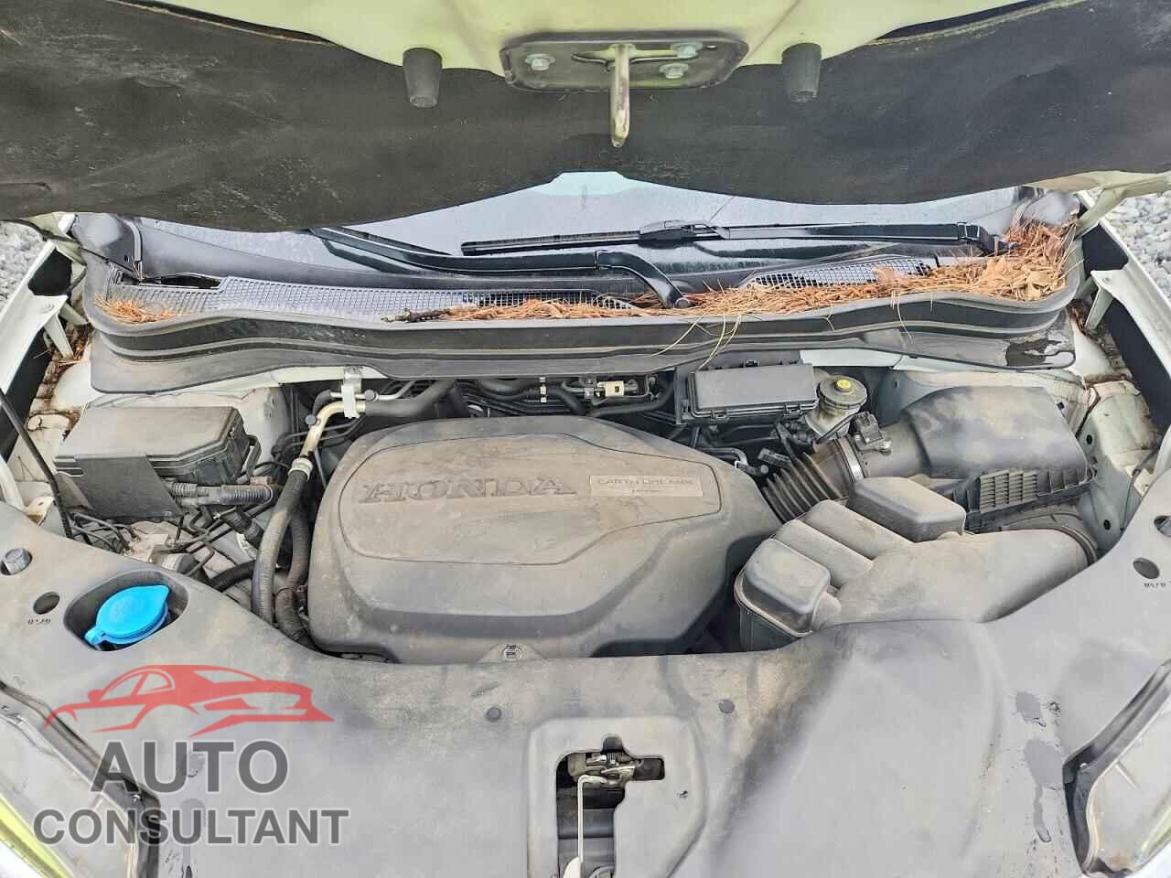 HONDA RIDGELINE 2017 - 5FPYK3F70HB028517