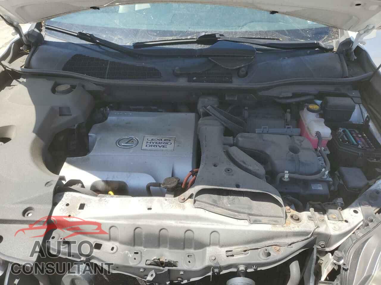 LEXUS RX450 2010 - JTJBC1BA5A2011199