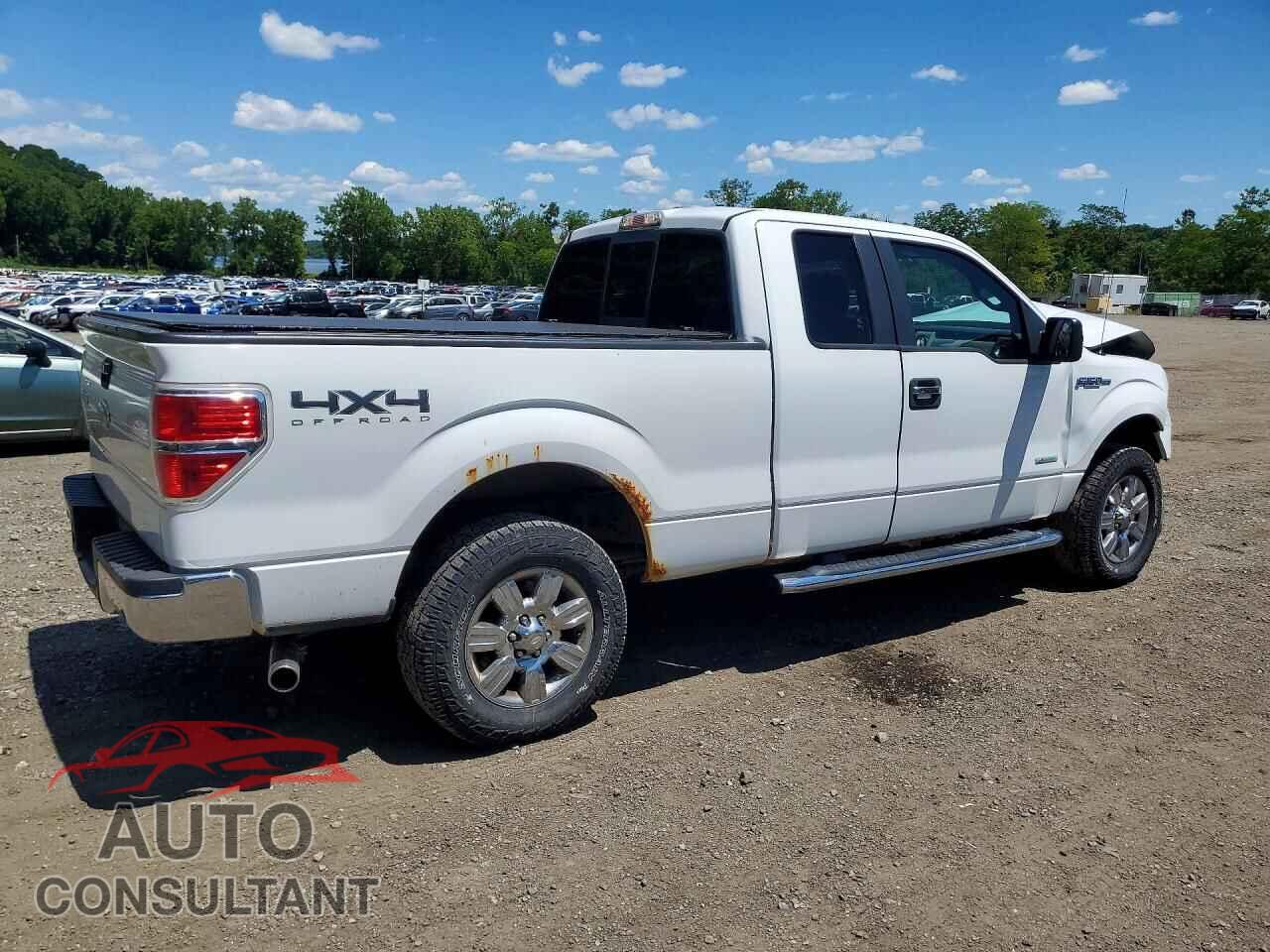 FORD F150 2011 - 1FTFX1ET2BFB87403