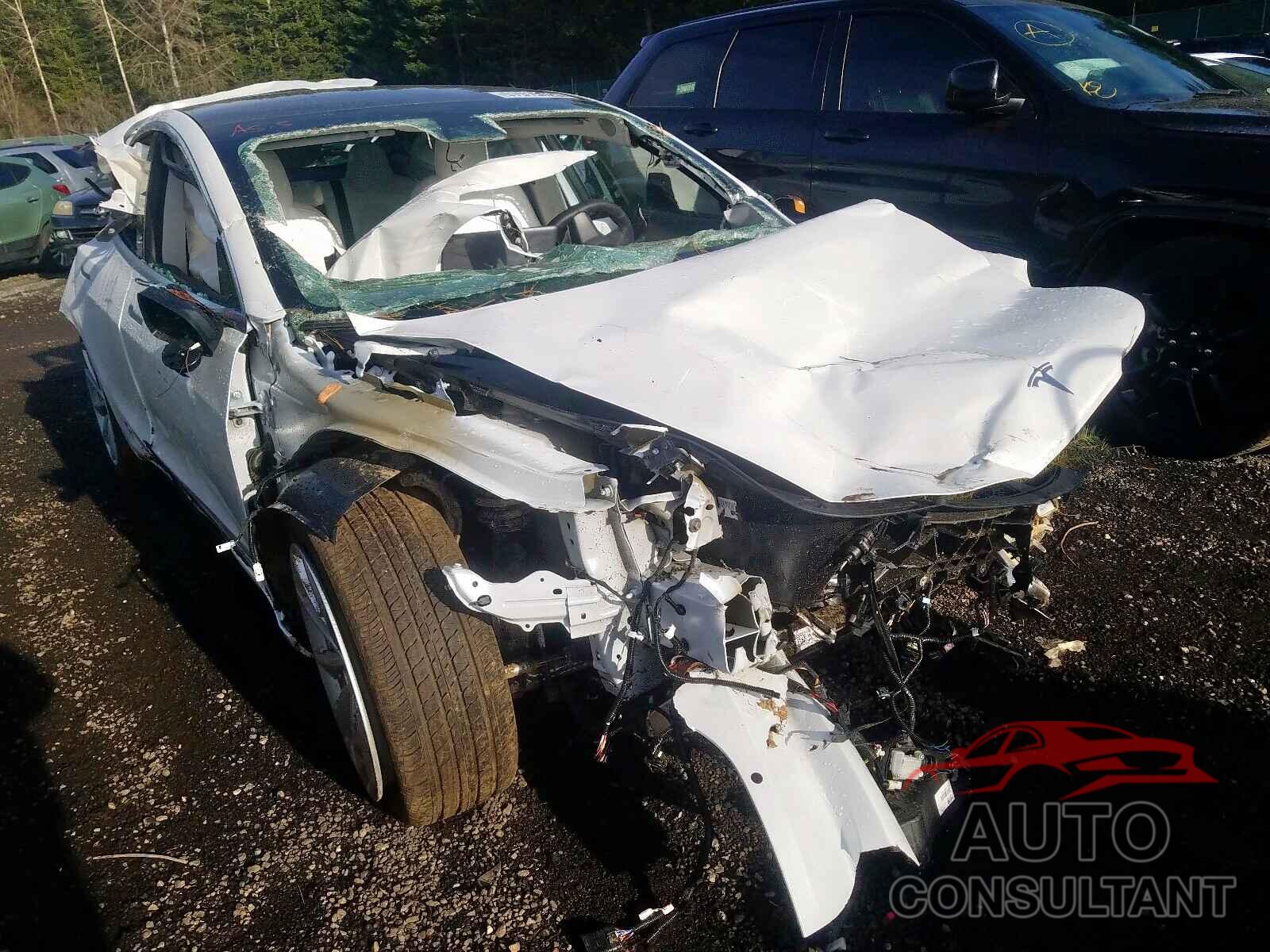 TESLA MODEL 3 2019 - 5YJ3E1EB0KF513347