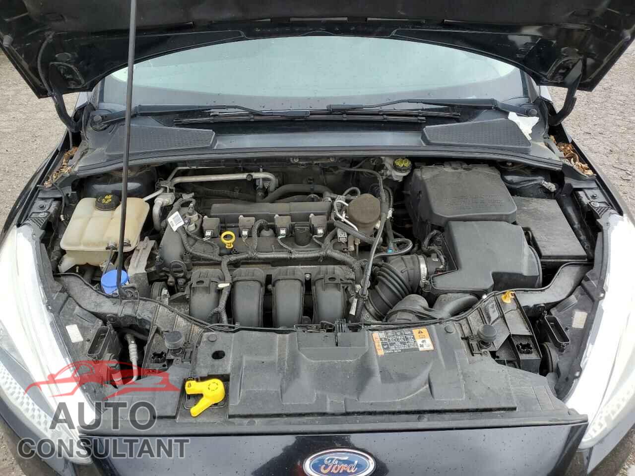 FORD FOCUS 2016 - 1FADP3F26GL228607