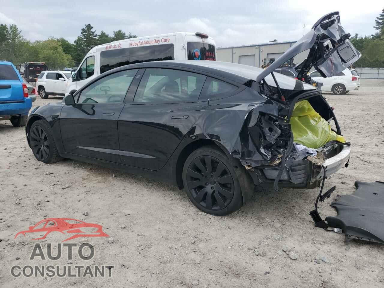TESLA MODEL 3 2019 - 5YJ3E1EA5KF305861