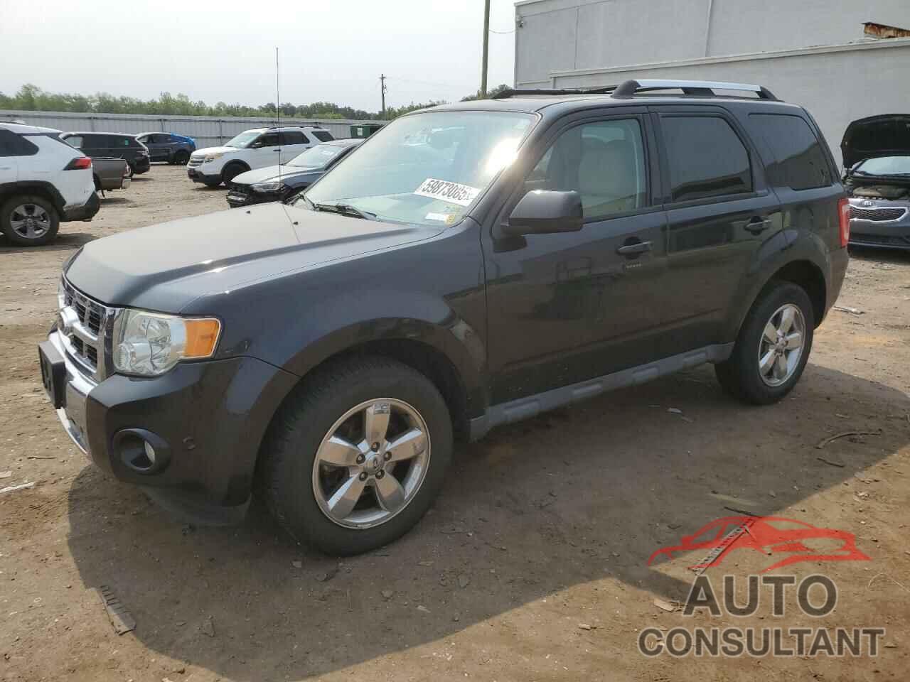 FORD ESCAPE 2011 - 1FMCU9EG2BKC02479