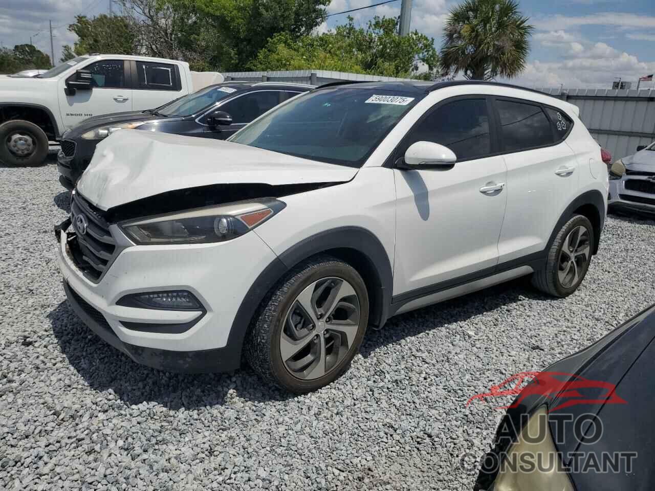 HYUNDAI TUCSON 2018 - KM8J33A23JU667339