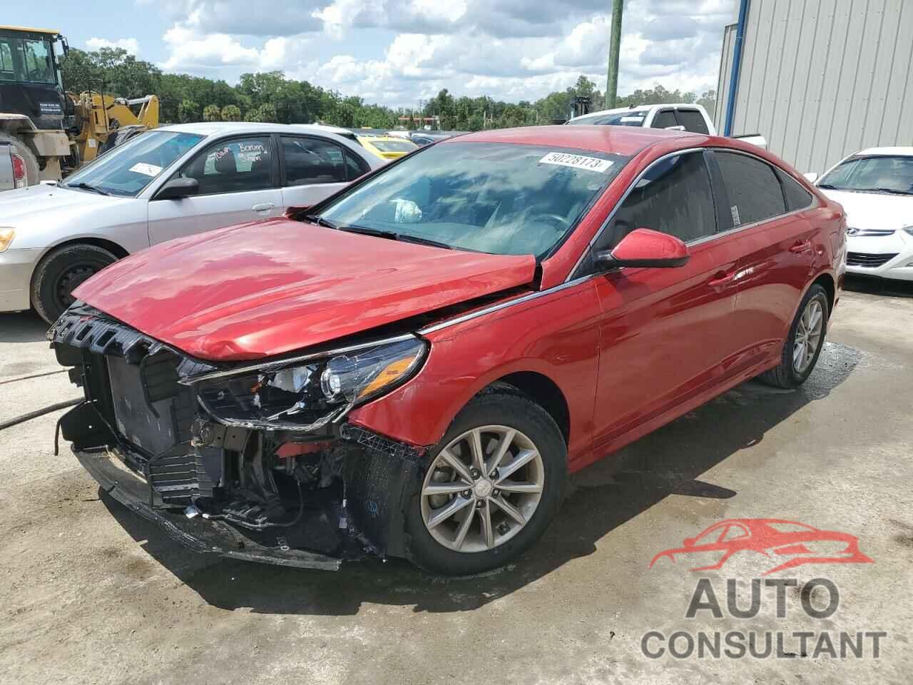 HYUNDAI SONATA 2019 - 5NPE24AF8KH773718