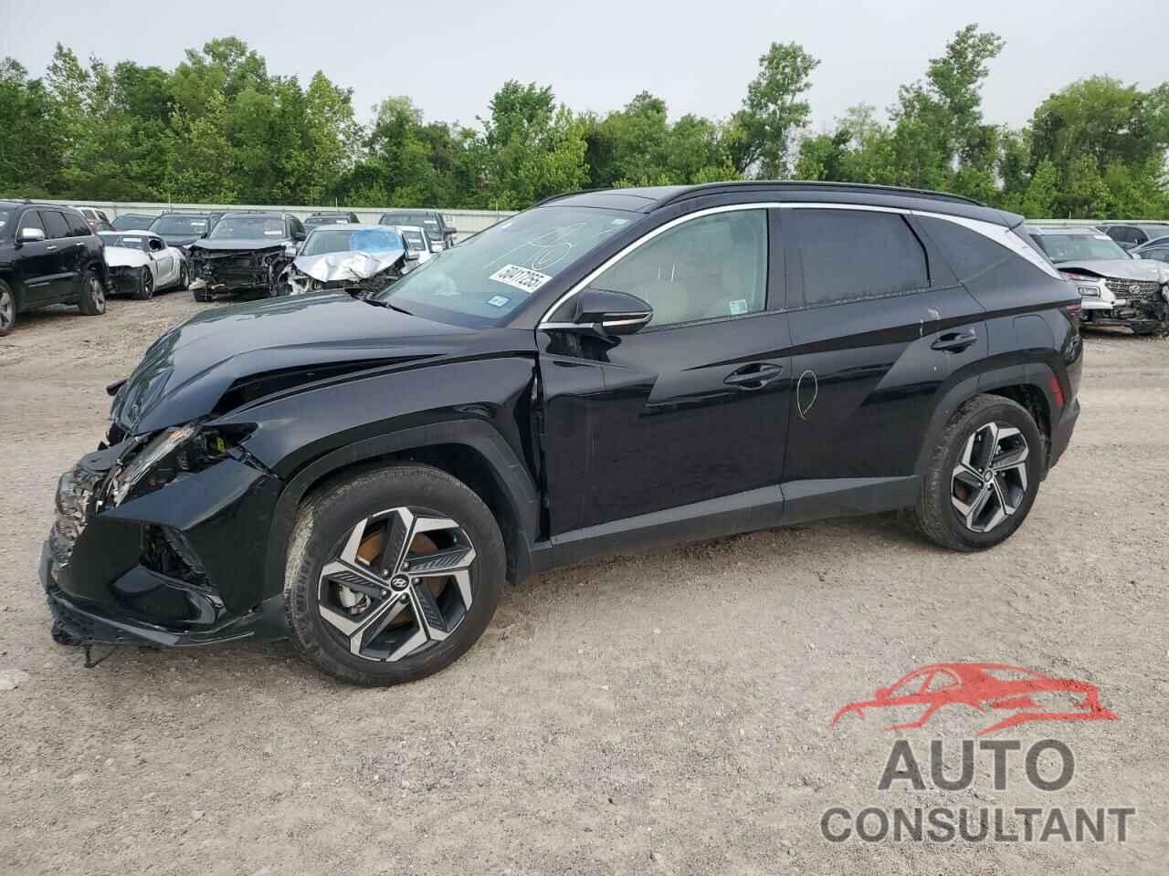 HYUNDAI TUCSON 2024 - KM8JECD16RU196800