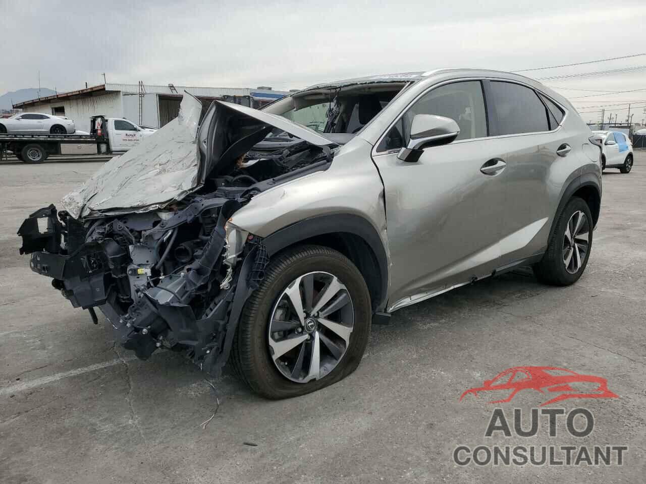 LEXUS NX 2019 - JTJYARBZ9K2135613