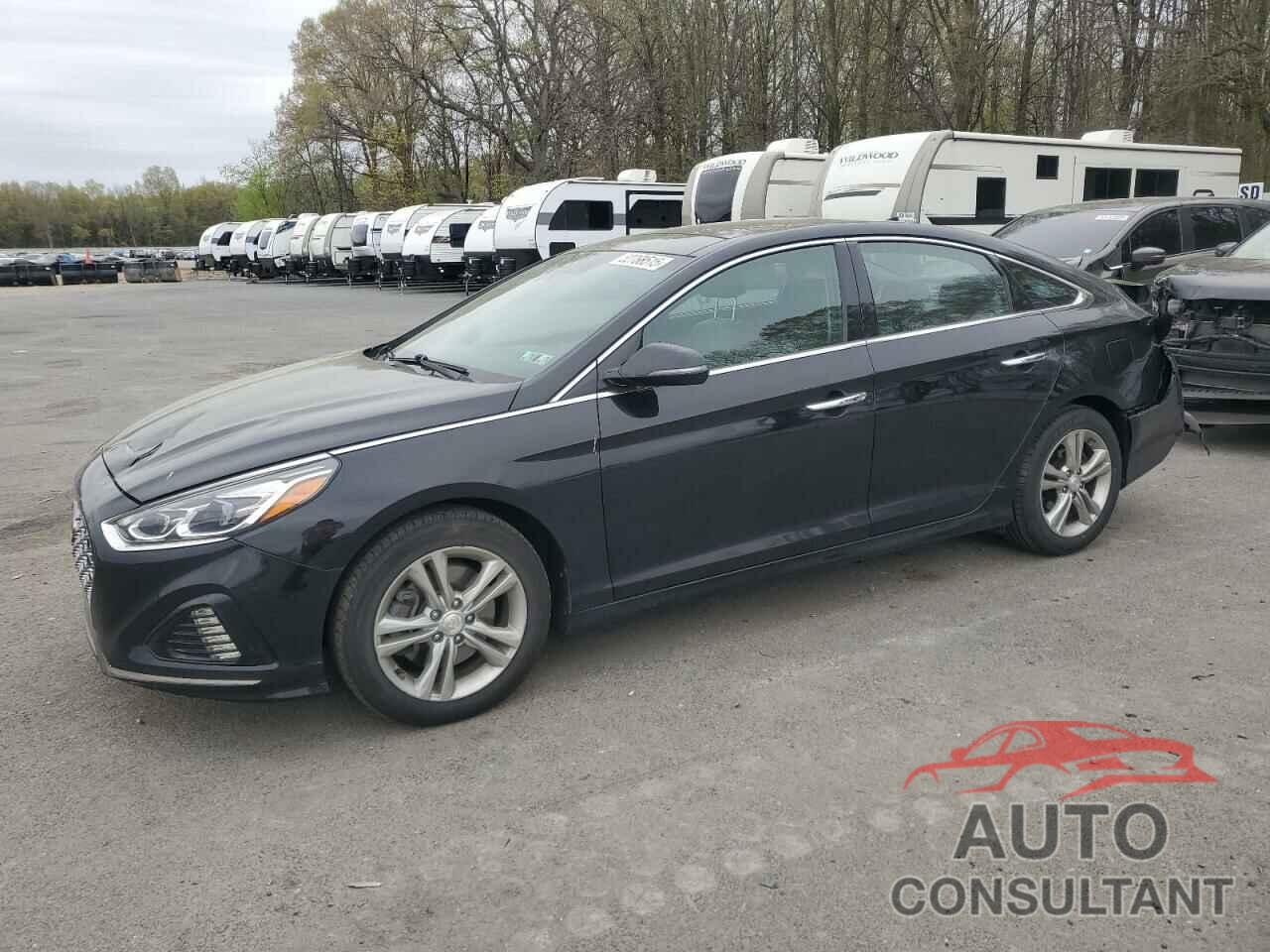 HYUNDAI SONATA 2019 - 5NPE34AF9KH751336