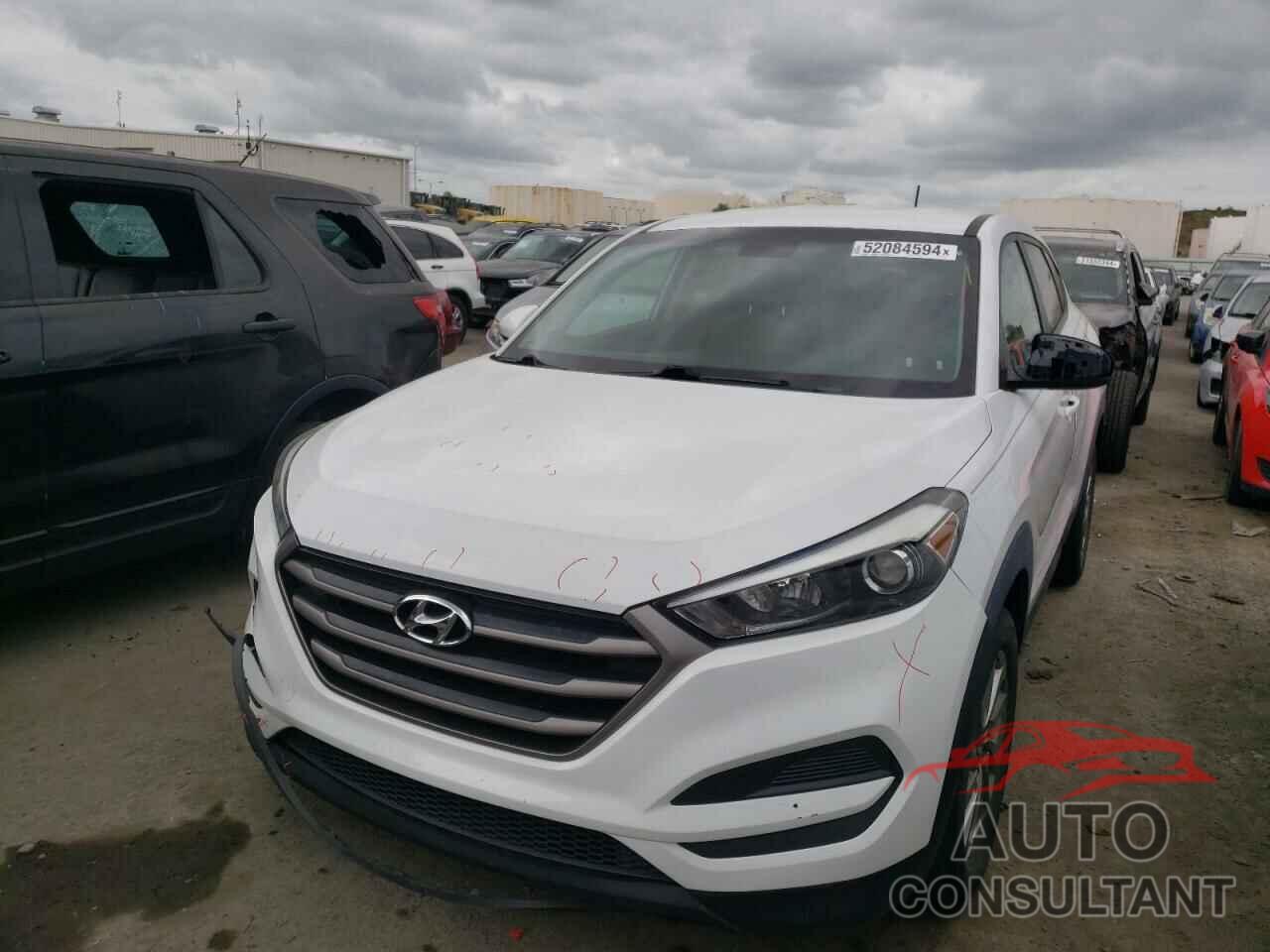 HYUNDAI TUCSON 2016 - KM8J23A43GU161670