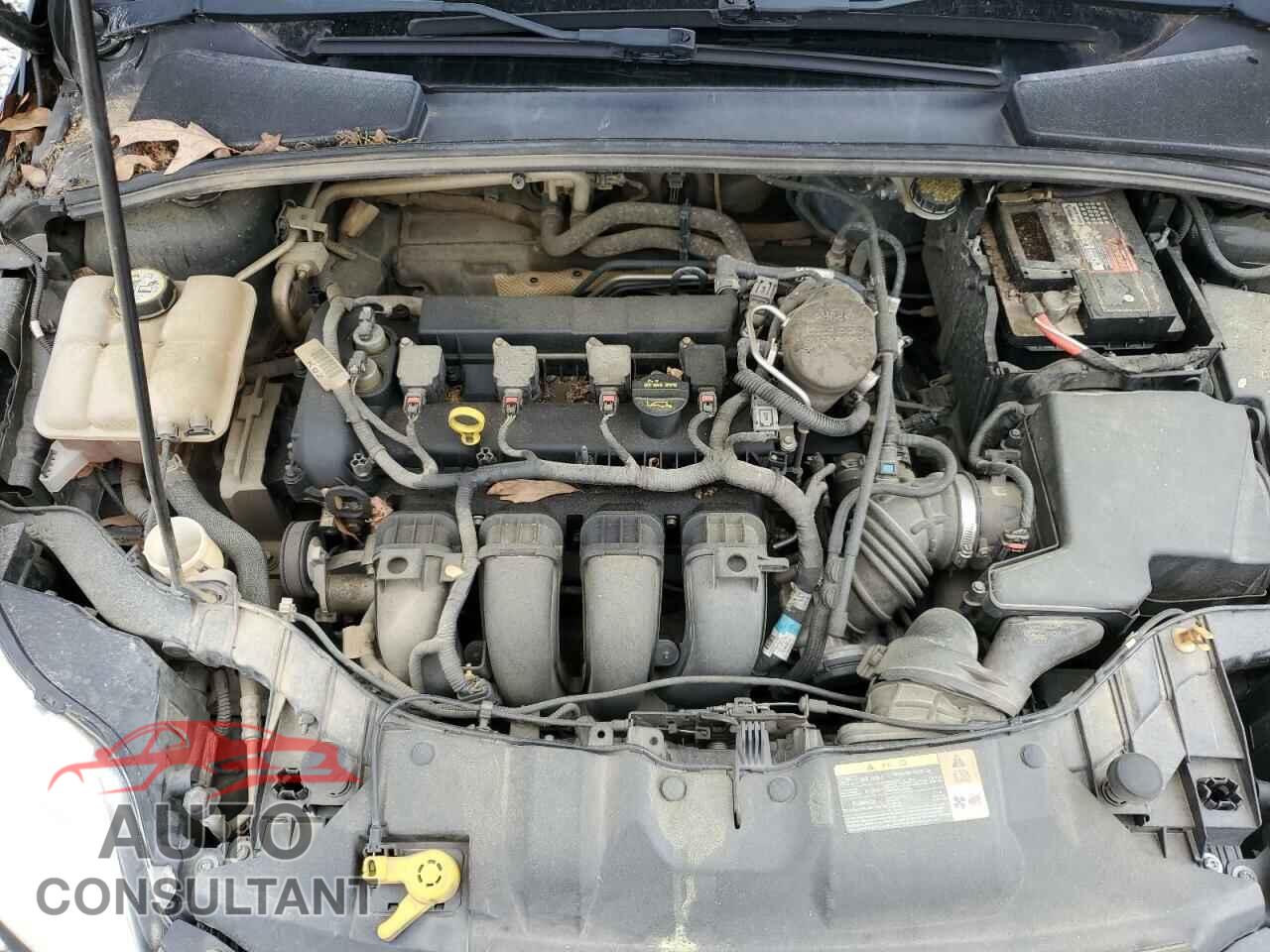 FORD FOCUS 2013 - 1FADP3F24DL216824