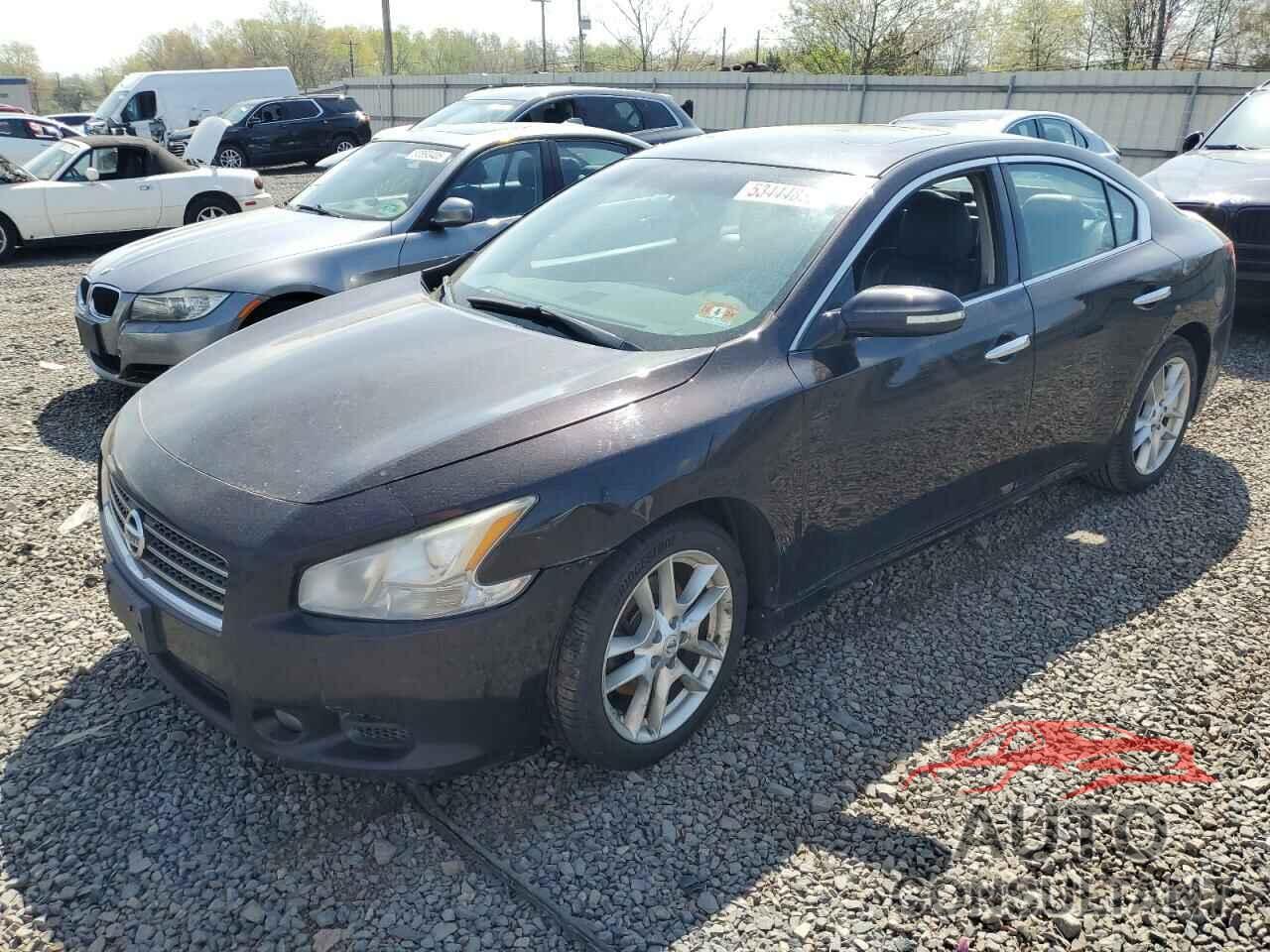 NISSAN MAXIMA 2011 - 1N4AA5AP9BC804055