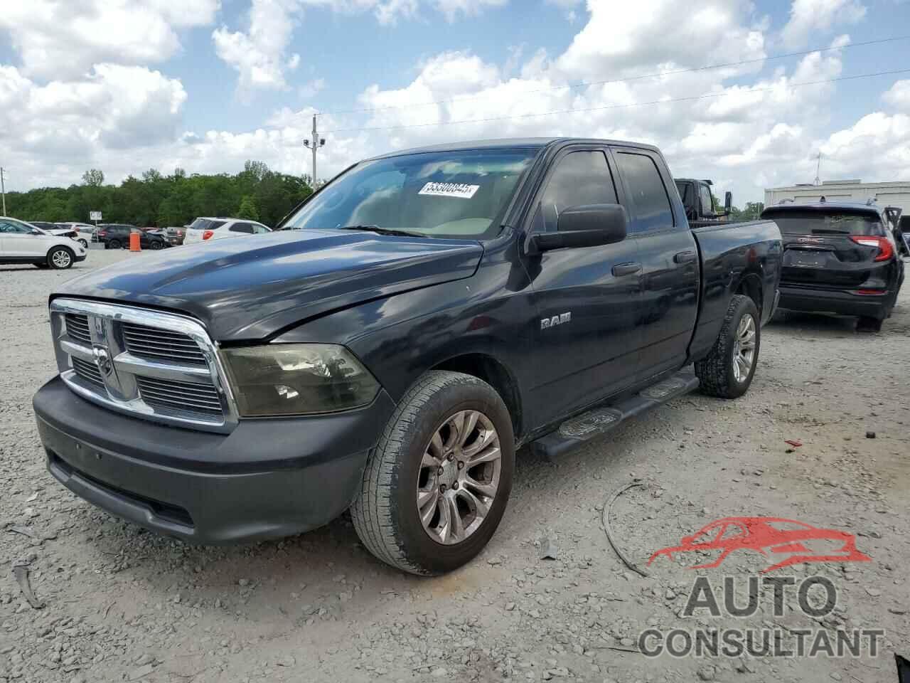 DODGE All Models 2010 - 1D7RB1GK0AS177982