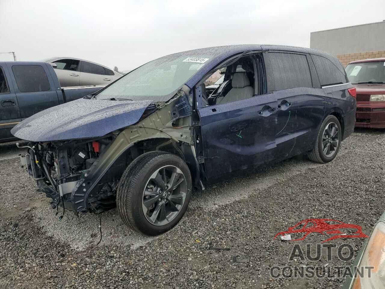 HONDA ODYSSEY 2024 - 5FNRL6H90RB001894