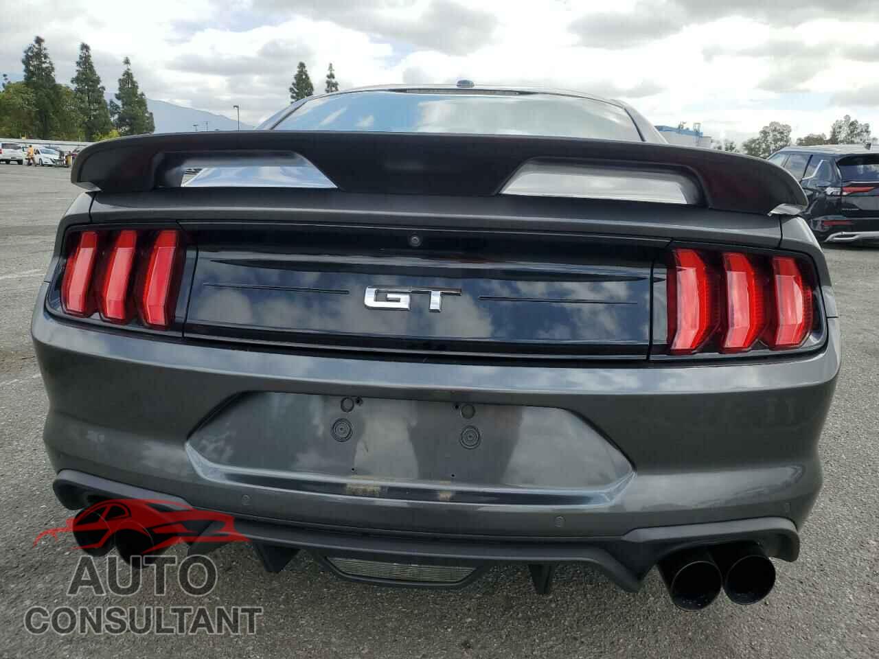 FORD MUSTANG 2019 - 1FA6P8CF3K5202007