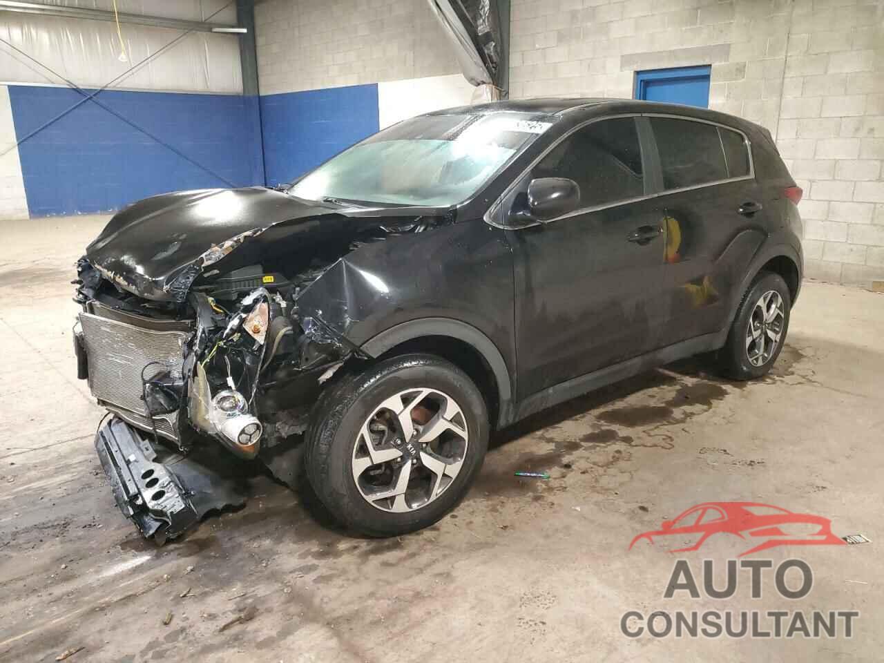 KIA SPORTAGE 2022 - KNDPM3AC9N7965161