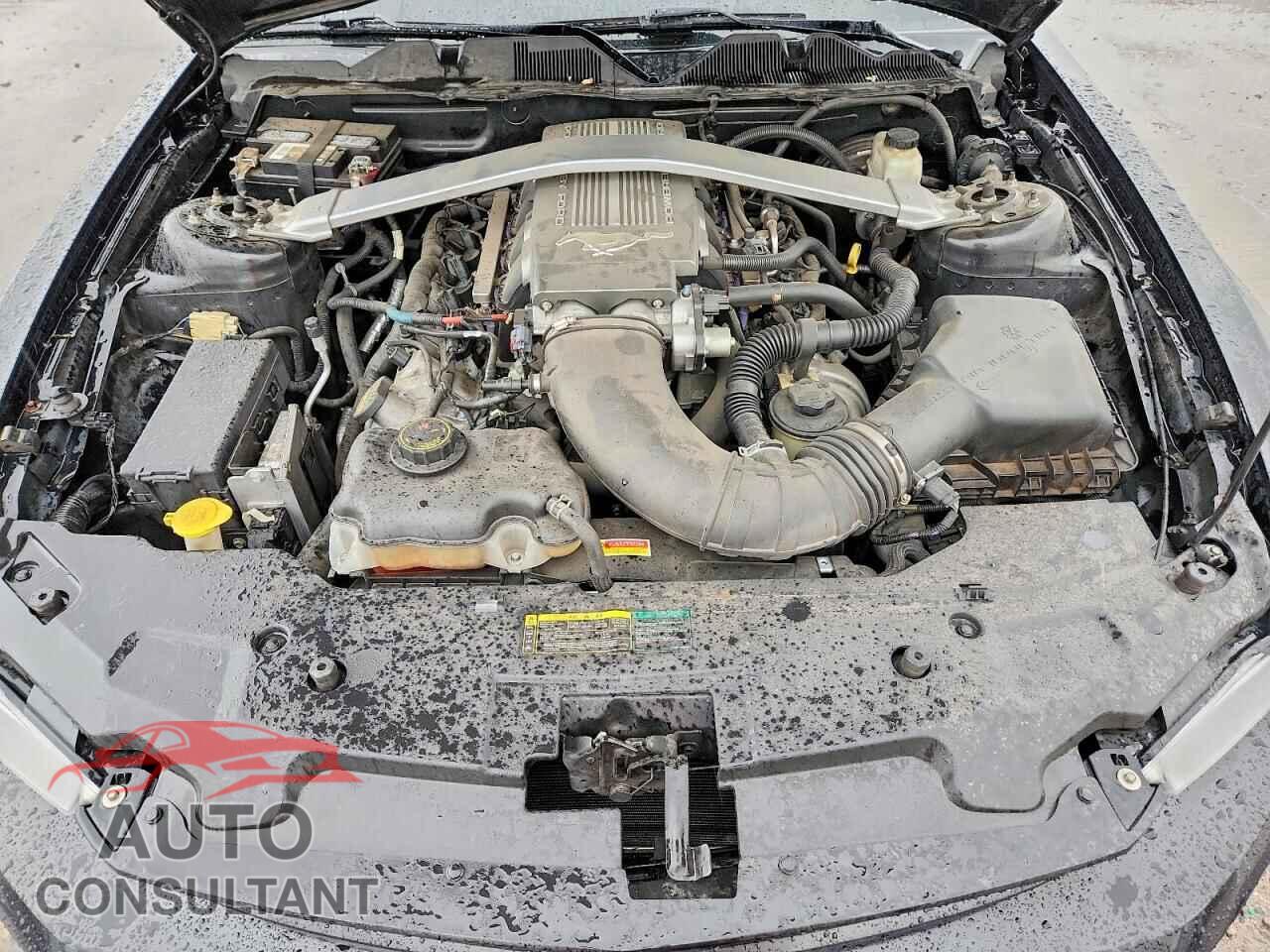 FORD MUSTANG 2010 - 1ZVBP8CH9A5114973