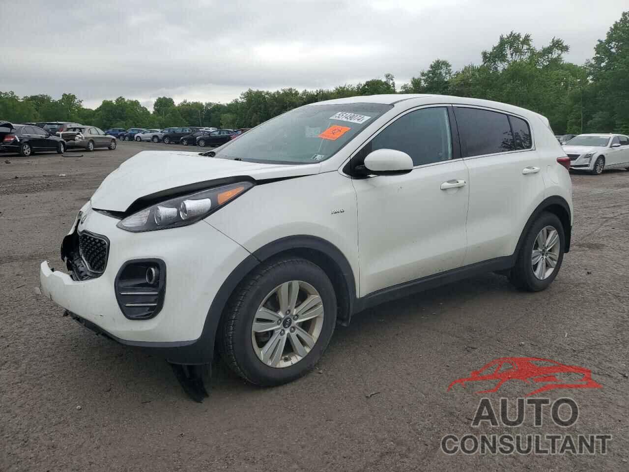 KIA SPORTAGE 2019 - KNDPMCAC6K7499099