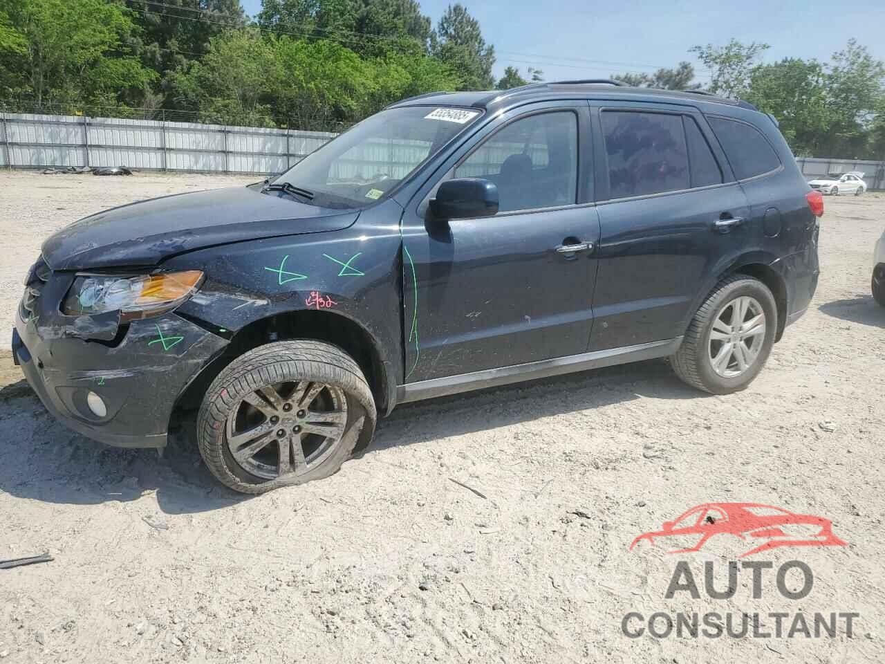 HYUNDAI SANTA FE 2010 - 5NMSK3AB2AH384515