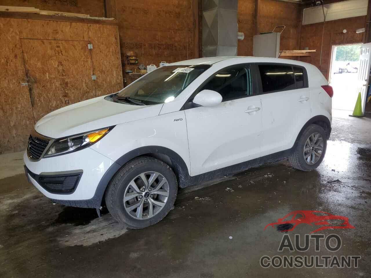 KIA SPORTAGE 2016 - KNDPBCAC4G7873142