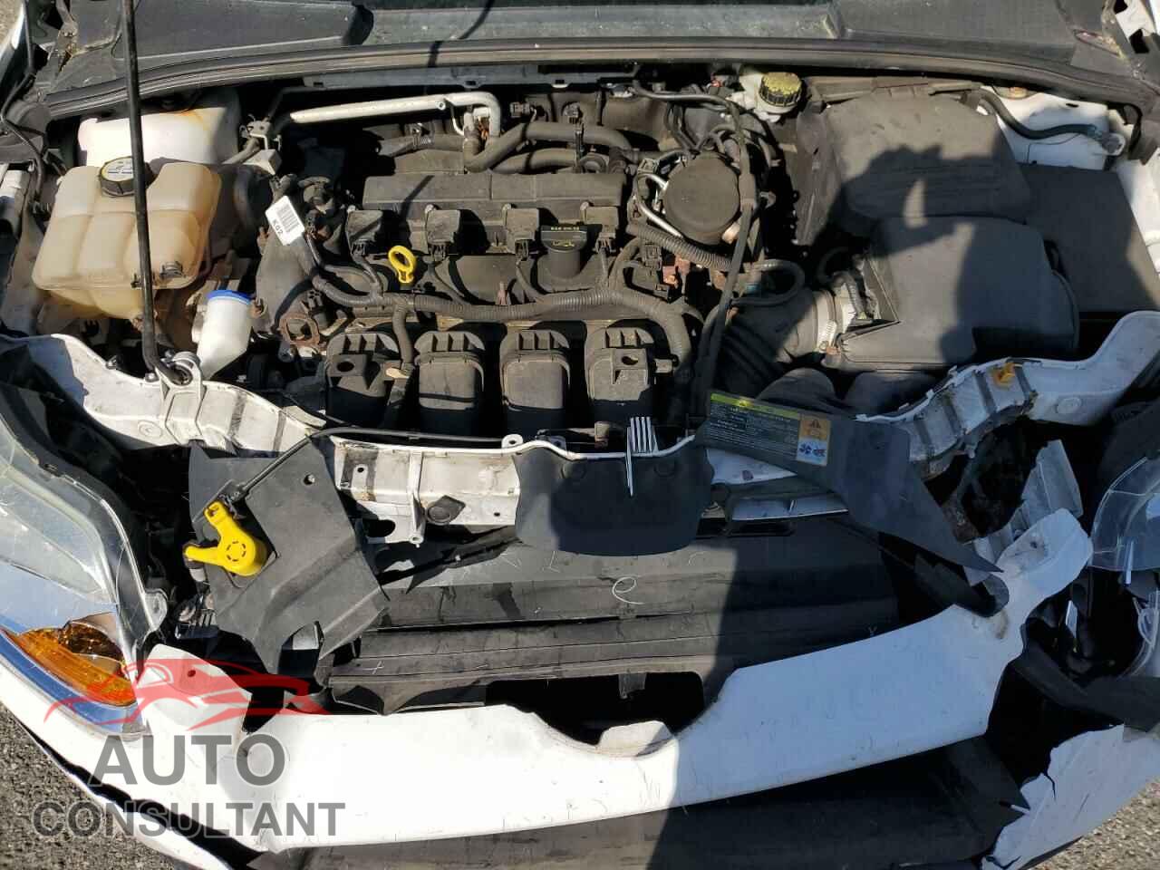 FORD FOCUS 2012 - 1FAHP3F25CL370202