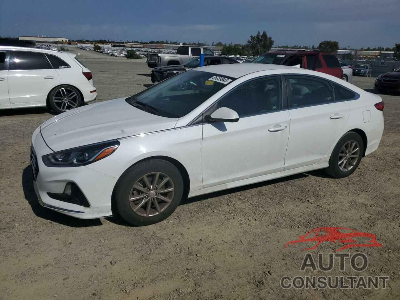 HYUNDAI SONATA 2018 - 5NPE24AF3JH602714