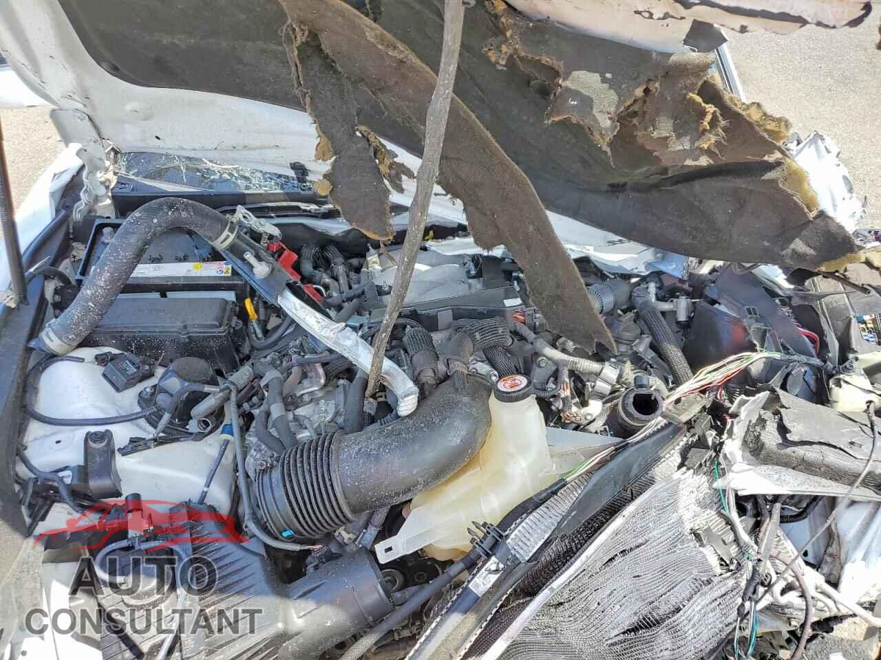 LEXUS IS 2023 - JTHAP1D28P5003550