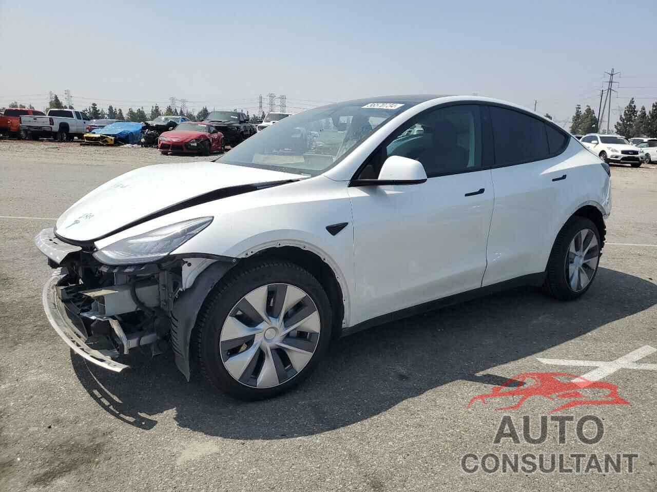 TESLA MODEL Y 2021 - 5YJYGDEE2MF095016