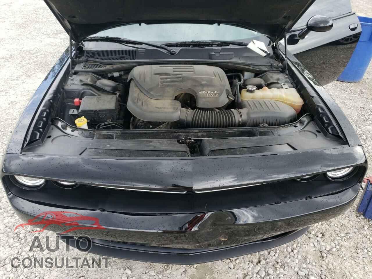 DODGE CHALLENGER 2019 - 2C3CDZAG3KH733406