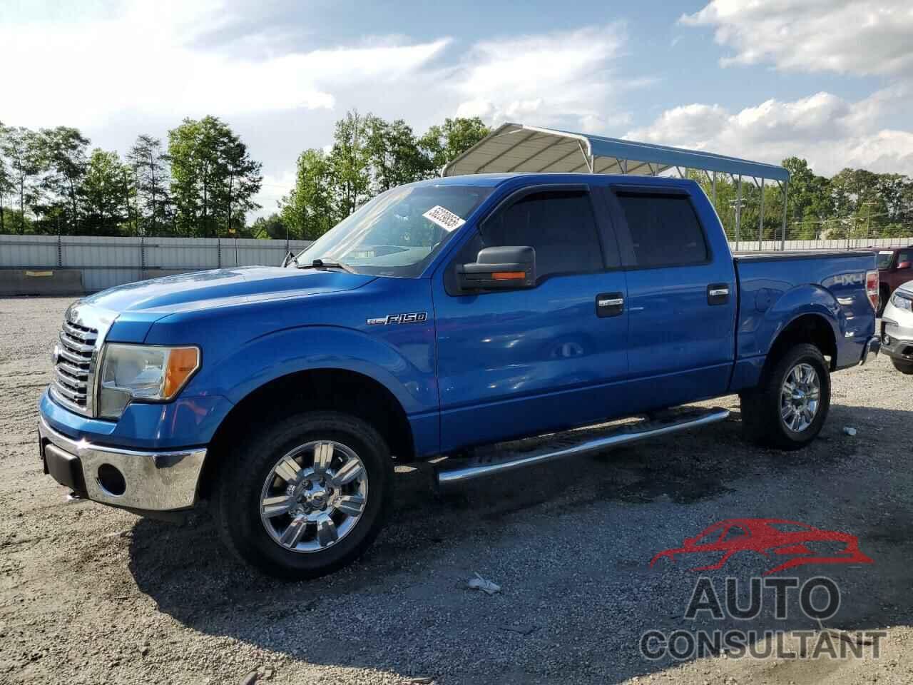 FORD F-150 2010 - 1FTFW1EV3AFD38283