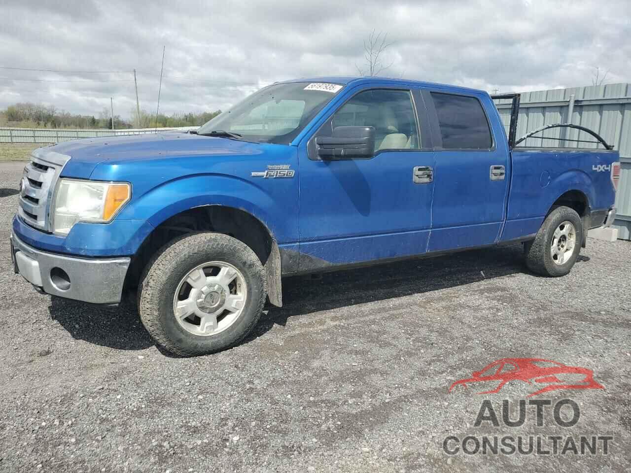 FORD F-150 2010 - 1FTFW1EV3AFD13951