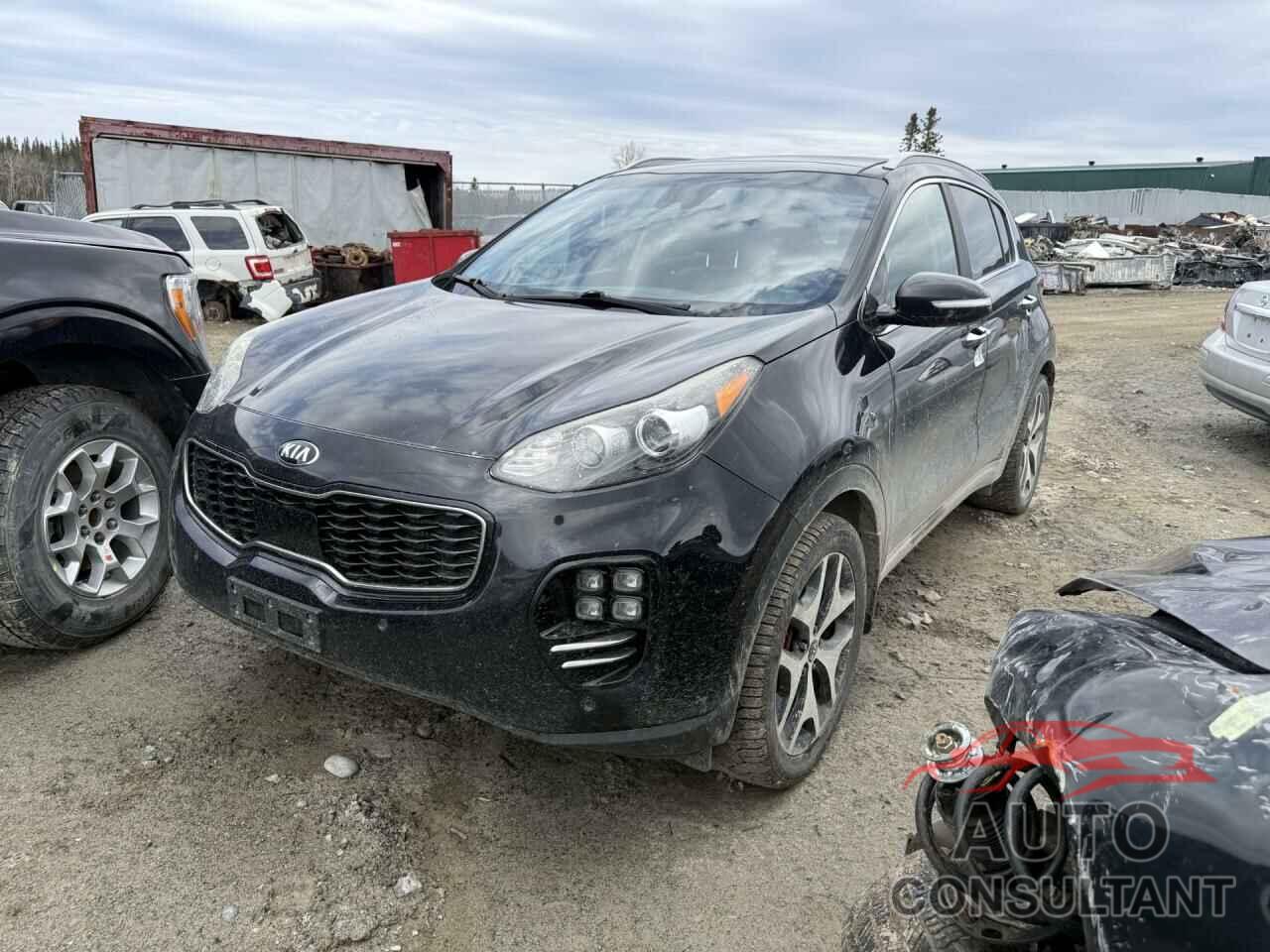 KIA SPORTAGE 2017 - KNDPRCA68H7049314