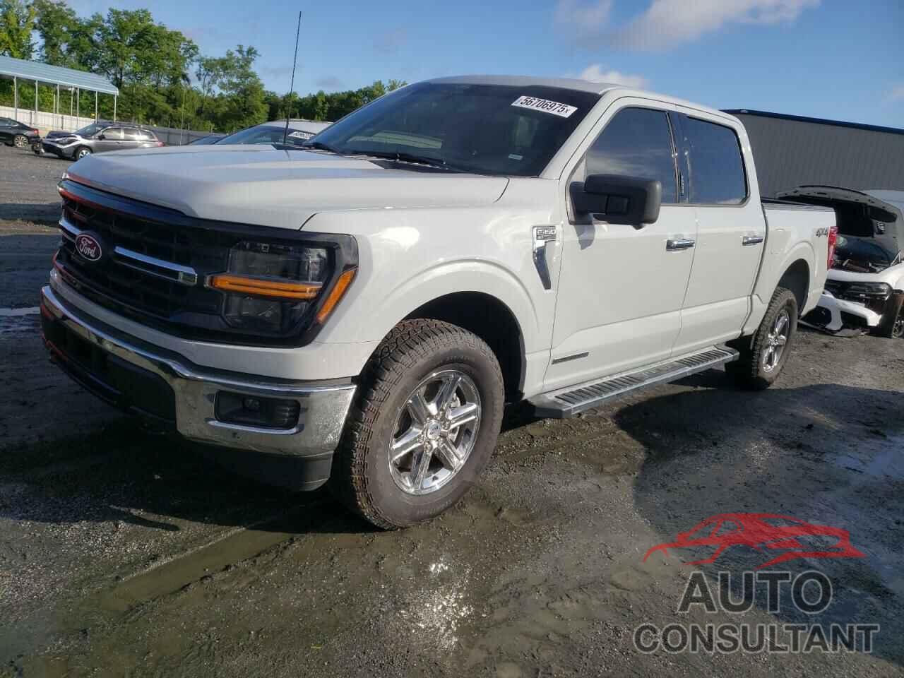 FORD All Models 2024 - 1FTFW3LD1RFA02813