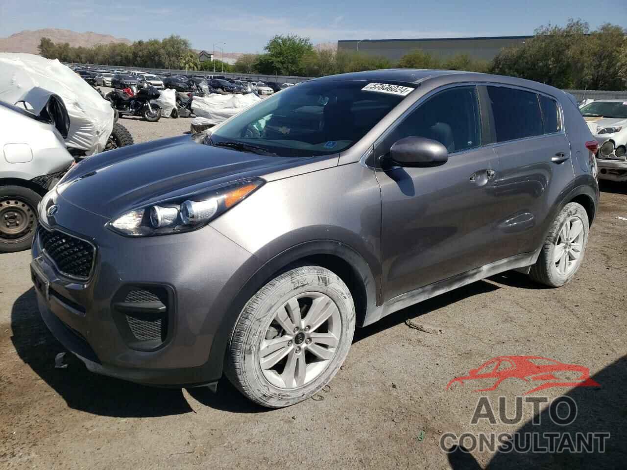 KIA SPORTAGE 2017 - KNDPM3AC4H7293241