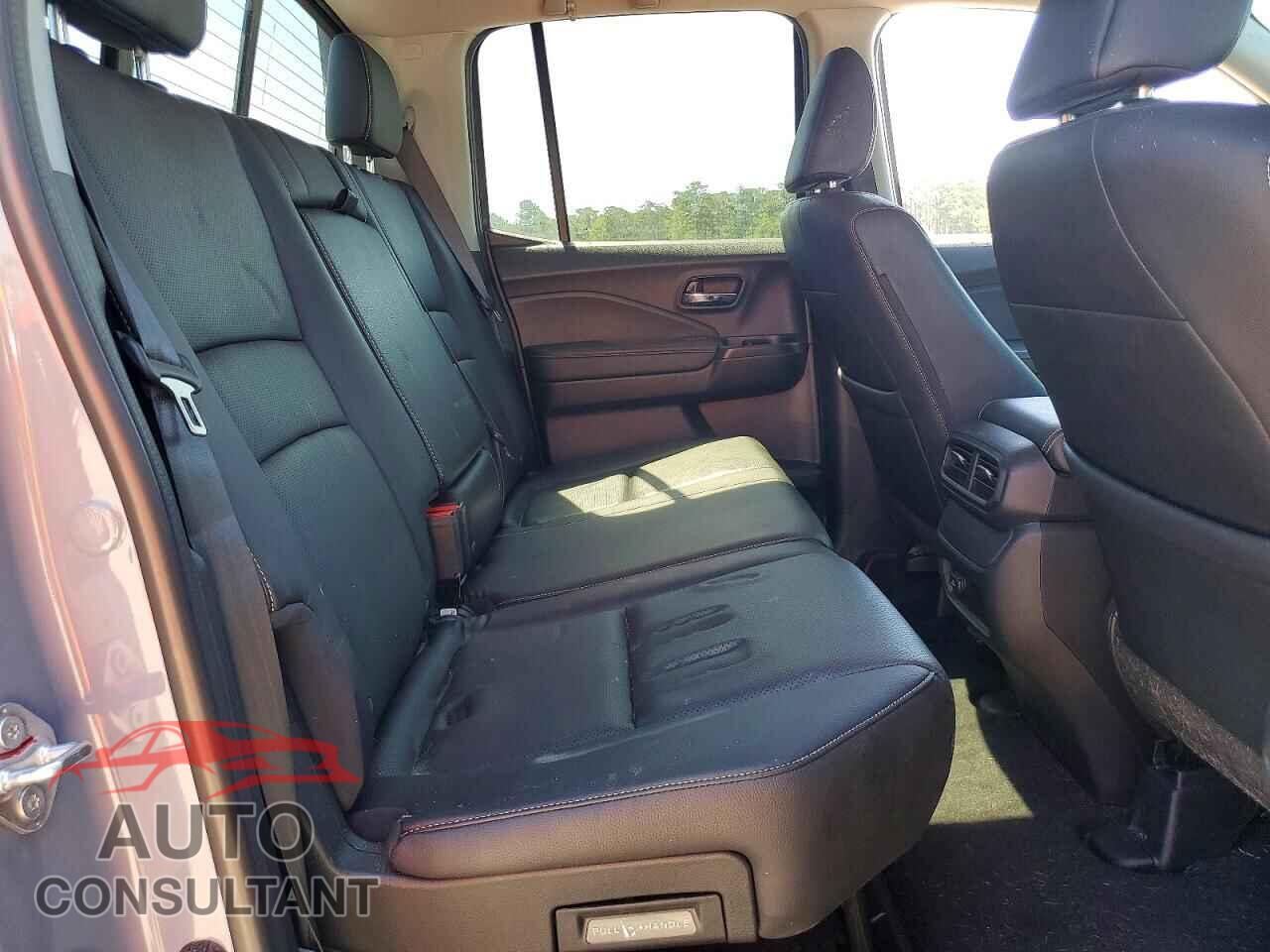 HONDA RIDGELINE 2024 - 5FPYK3F54RB017813