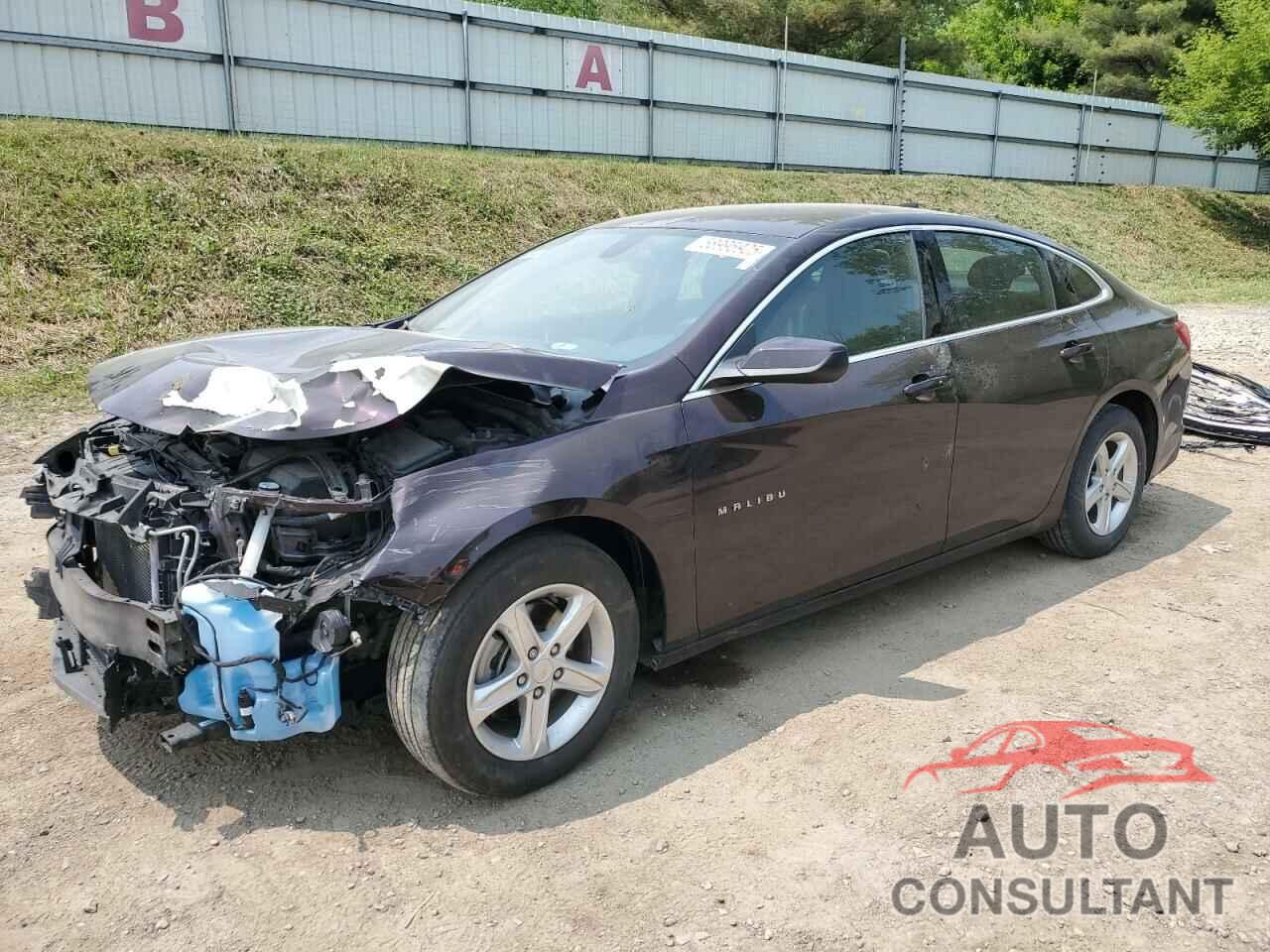 CHEVROLET MALIBU 2021 - 1G1ZB5ST1MF015074