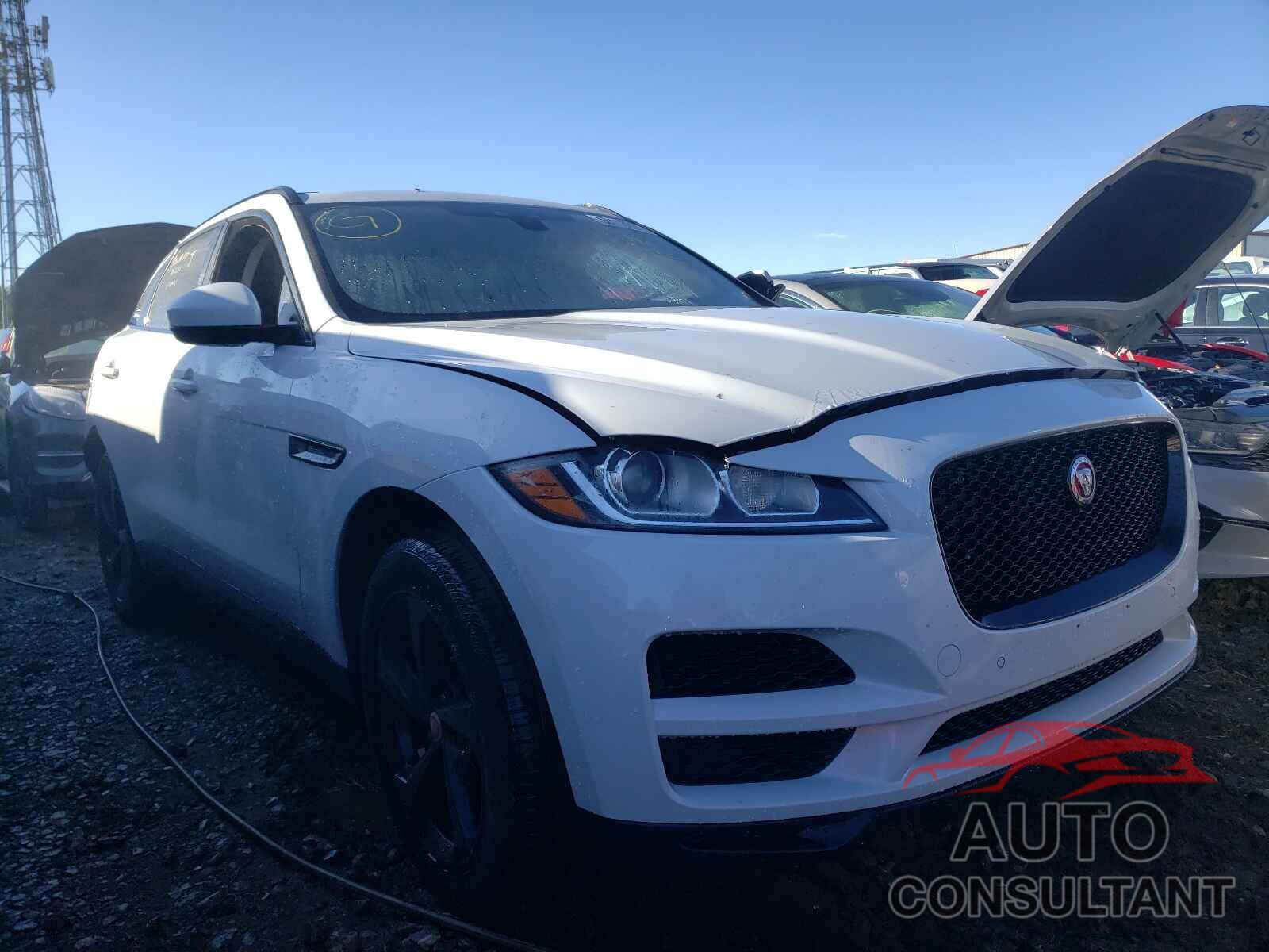 JAGUAR F-PACE 2019 - SADCJ2FX3KA361931