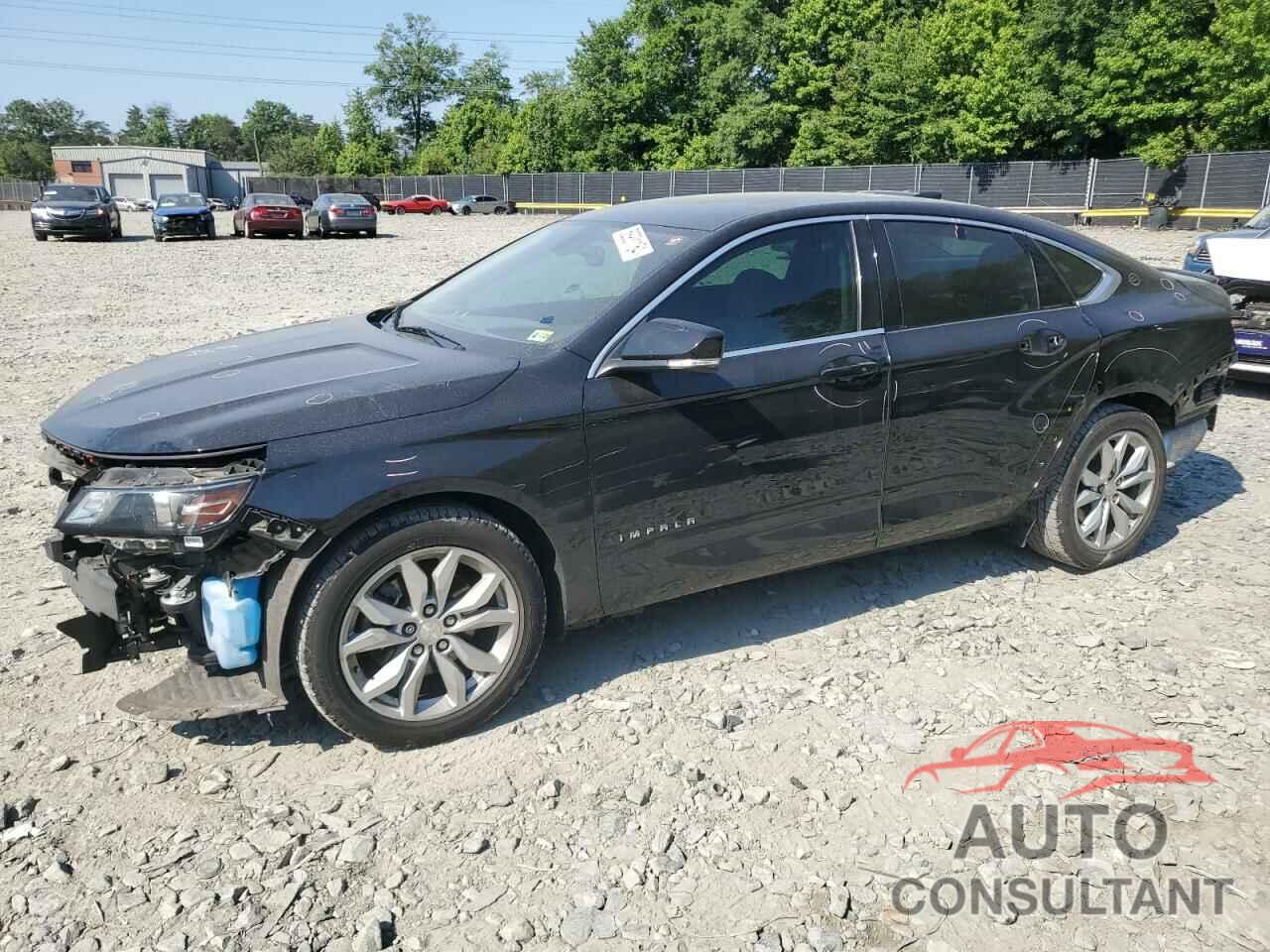 CHEVROLET IMPALA 2019 - 1G11Z5S36KU146826