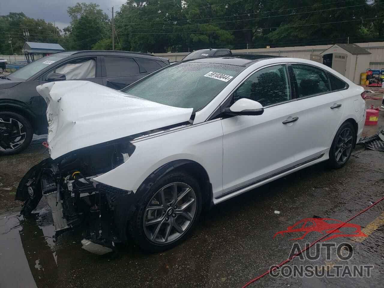 HYUNDAI SONATA 2019 - 5NPE34AB2KH796096