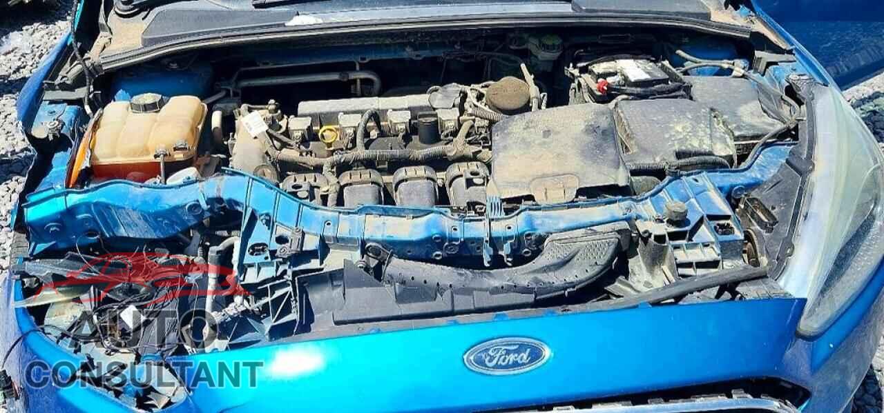 FORD FOCUS 2016 - 1FADP3F28GL262872