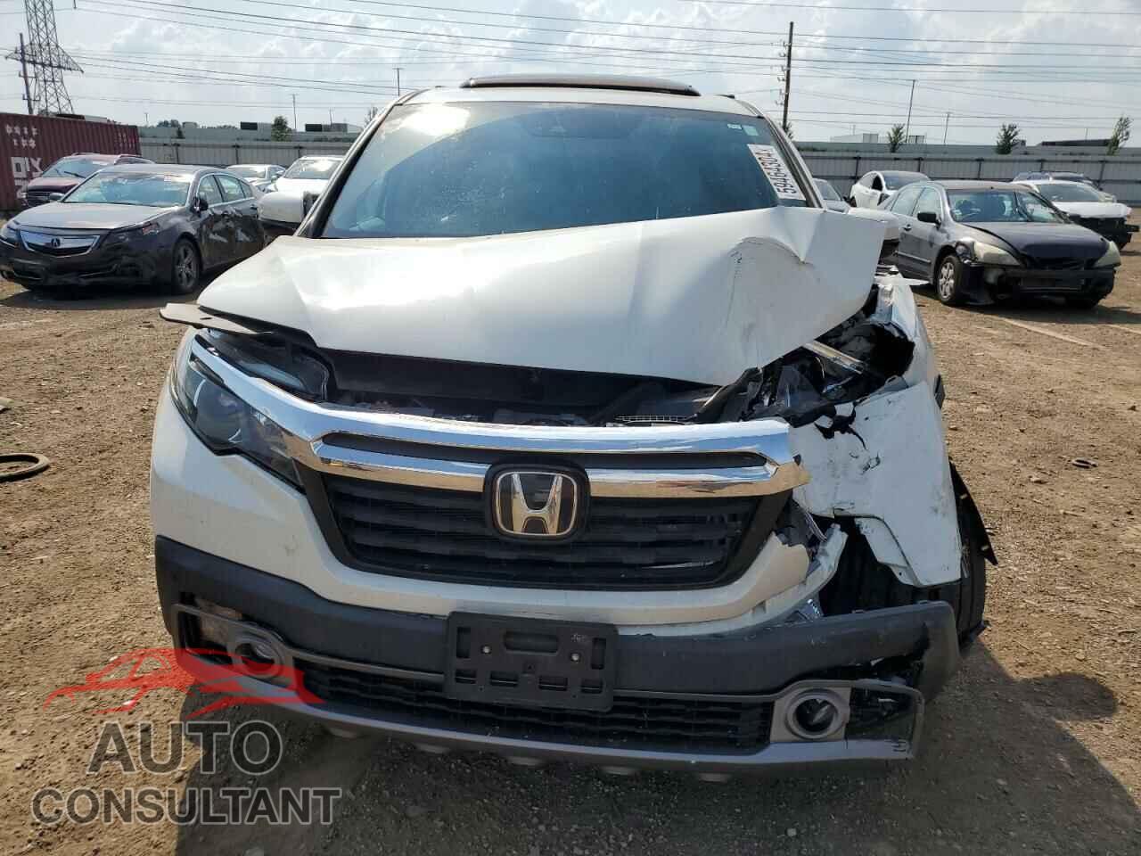 HONDA RIDGELINE 2019 - 5FPYK3F70KB028461