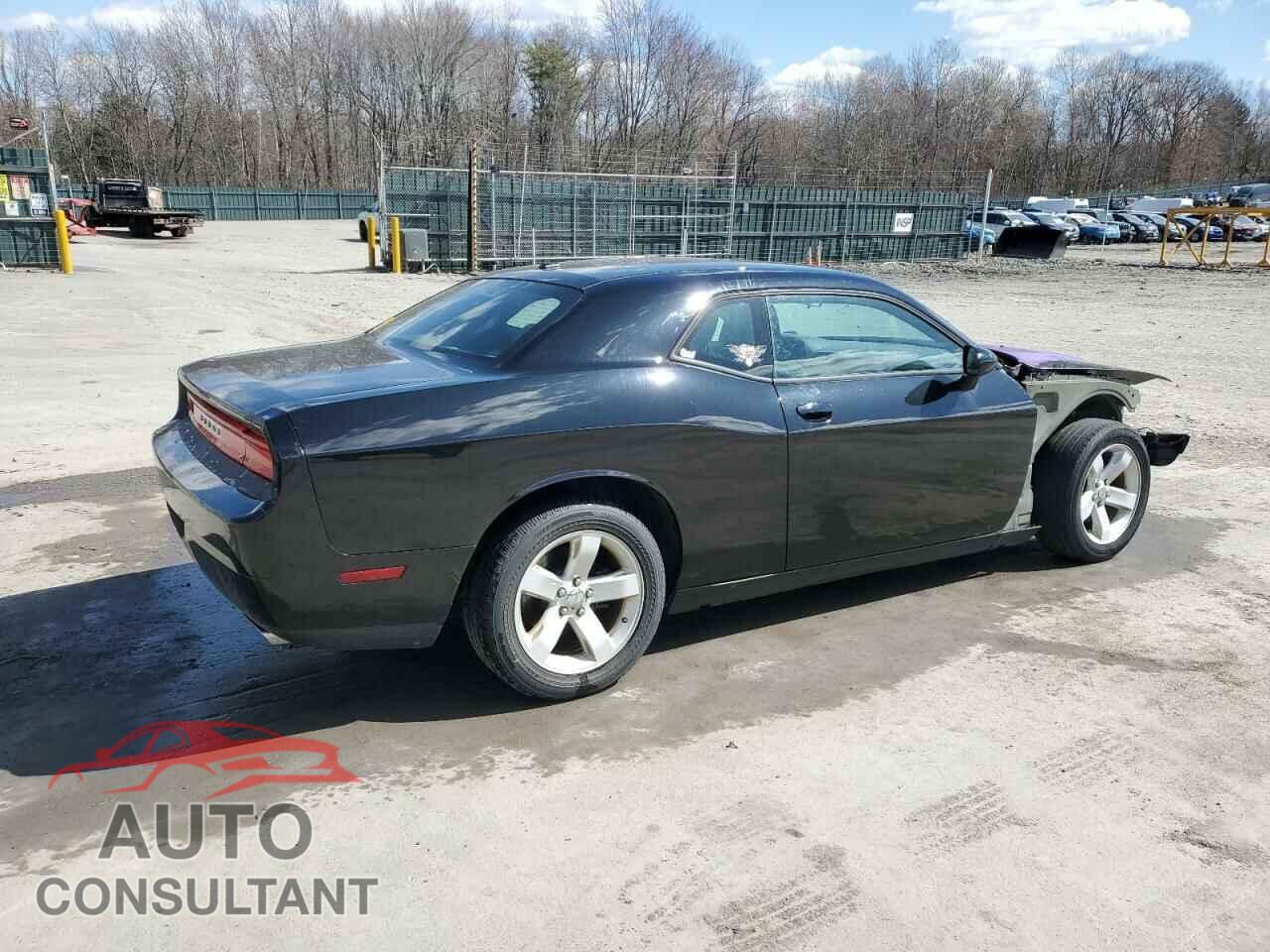 DODGE CHALLENGER 2012 - 2C3CDYAG6CH275422