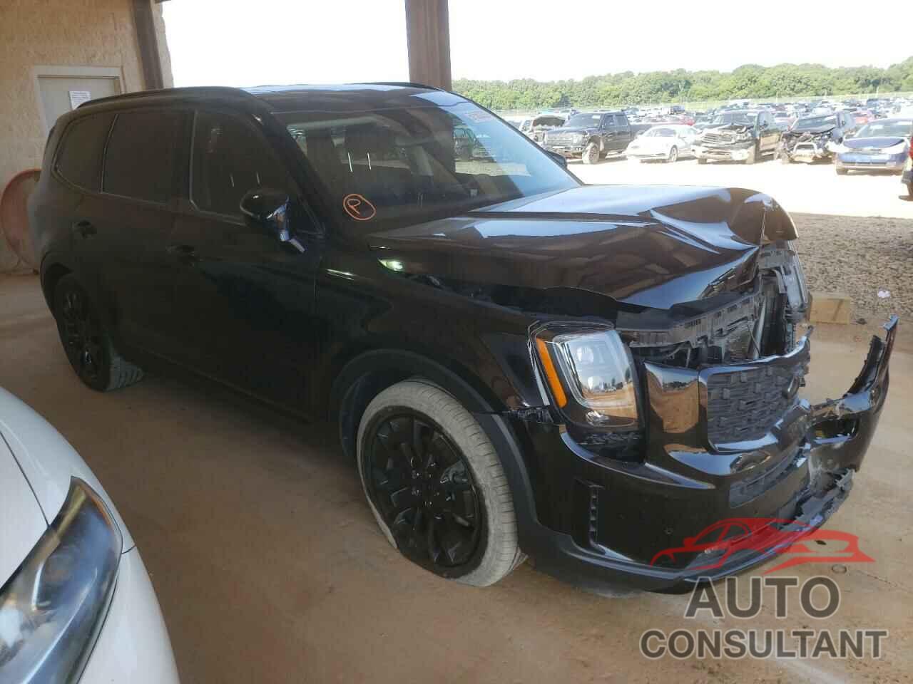 KIA TELLURIDE 2021 - 5XYP5DHC3MG108442