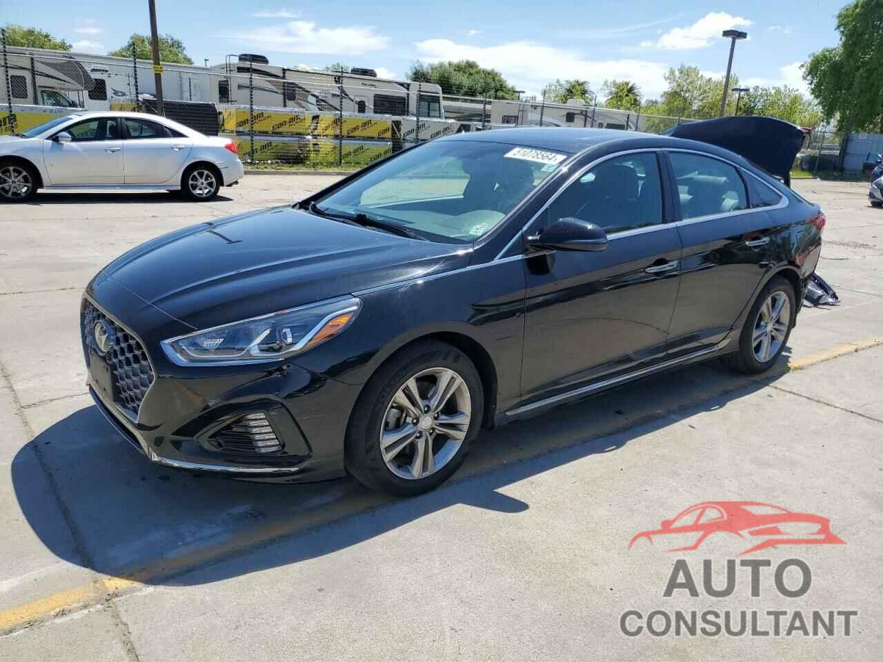 HYUNDAI SONATA 2019 - 5NPE34AF2KH822053