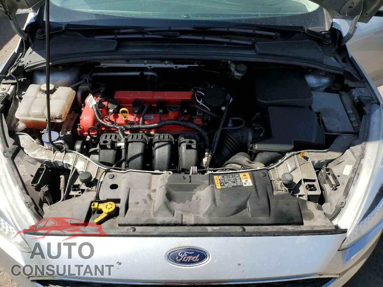 FORD FOCUS 2016 - 1FADP3F21GL299925