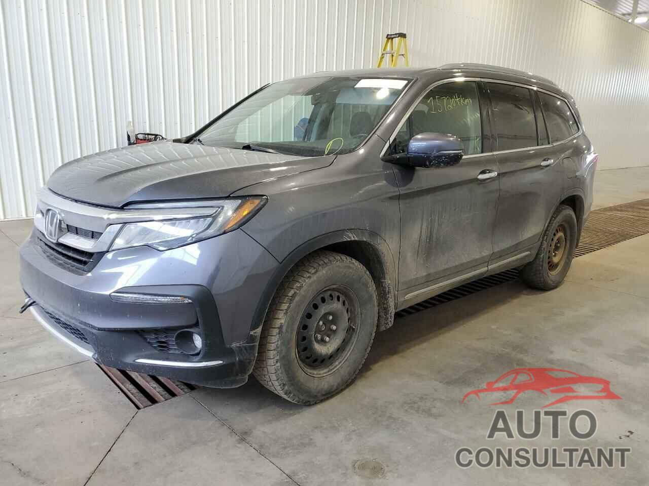 HONDA PILOT 2019 - 5FNYF6H93KB502528