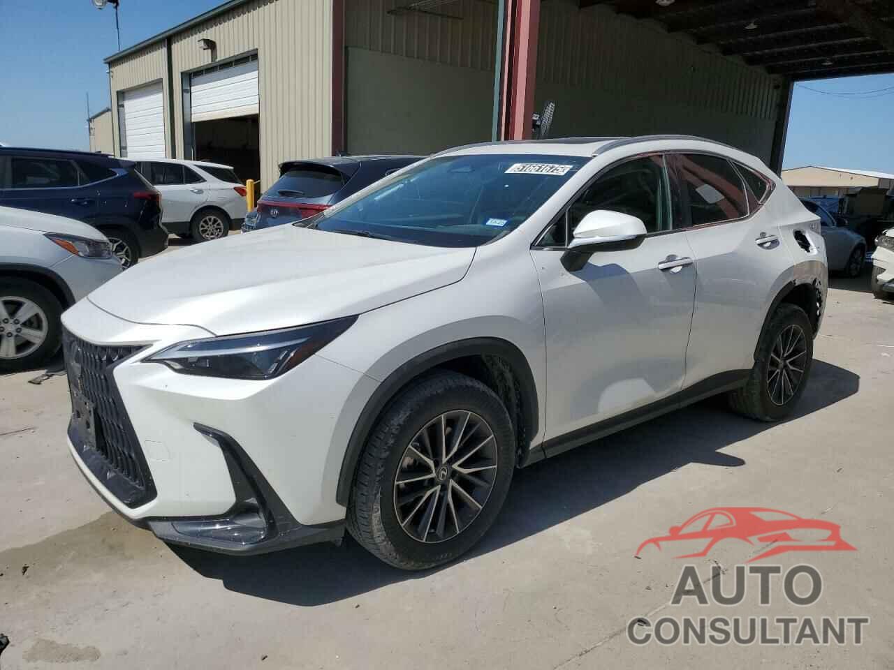 LEXUS NX 250 2023 - 2T2ADCEZ5PC003313