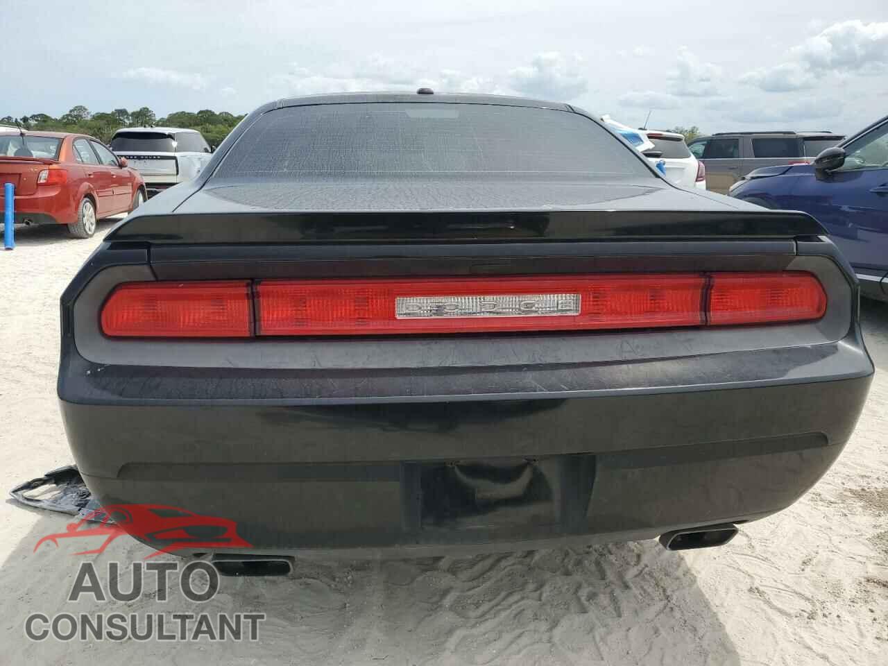 DODGE CHALLENGER 2012 - 2C3CDYBT8CH254809