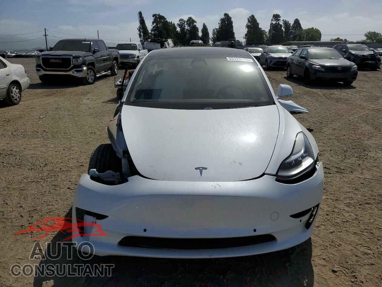 TESLA MODEL 3 2019 - 5YJ3E1EB2KF195120