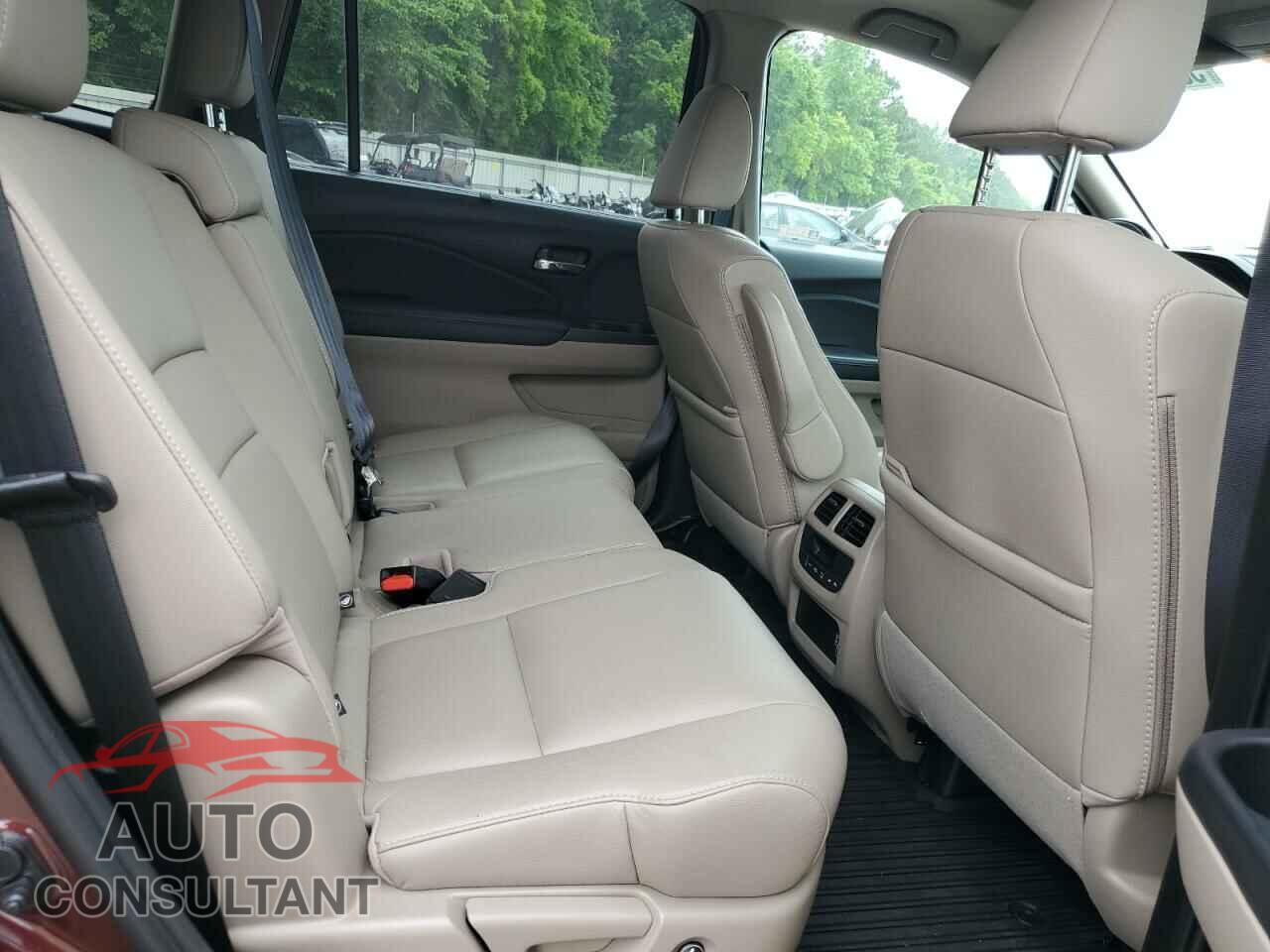 HONDA PILOT 2019 - 5FNYF5H55KB014687